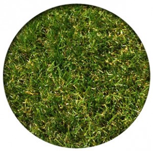 Superior Grass