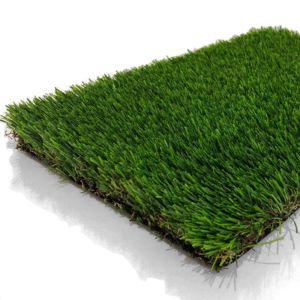 Paradise Artificial Grass