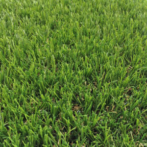 Hampshire Artificial Grass Close Up