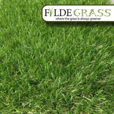 Hampshire Artificial Grass
