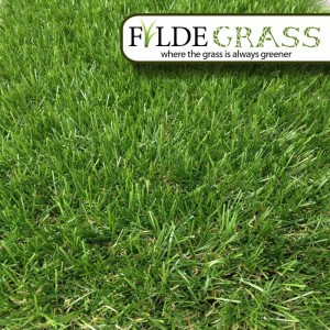 Hampshire Artificial Grass with Logo