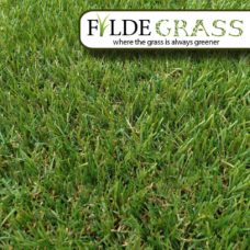 Fylde Grass Lytham Artificial Grass Top