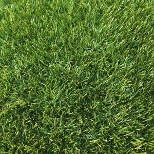 Wiltshire Artificial Grass Top Down