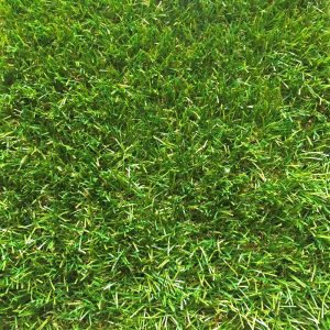 Widnermere Artificial Grass Birds Eye View