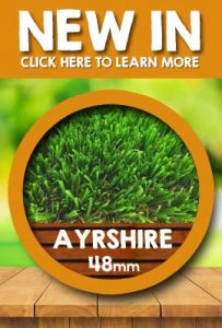Fylde Grass New In
