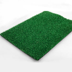 Bristol Artificial Grass