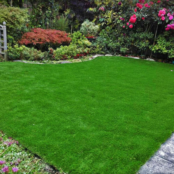 ayrshire artificial grass 3