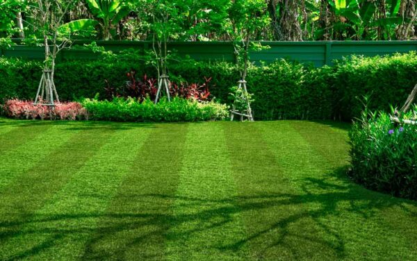 soft stripe artificial grass 4