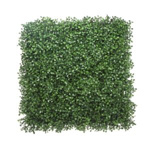 boxwood 1